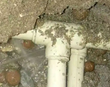 张湾测漏水多少钱