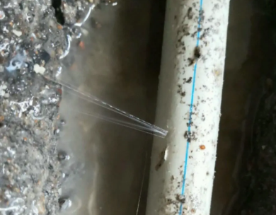 张湾测漏水哪家好