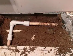 张湾测漏水哪家好