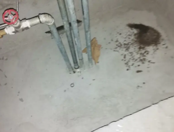 张湾卫生间测漏水价格明细