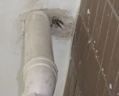 张湾漏水检测哪家好